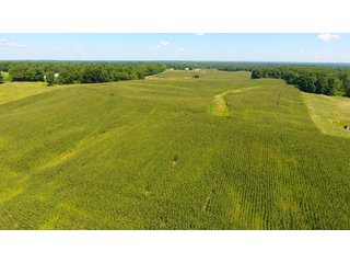 Property photo 36 - LAND AUCTION - 1,193+/- ACRES IN 14 TRACTS IN PIKE & GIBSON COUNTY, INDIANA